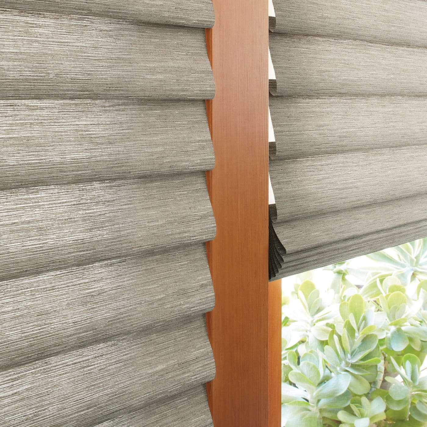 photo: vignette-alustra-silk-road-dynasty-59329712:square-lg