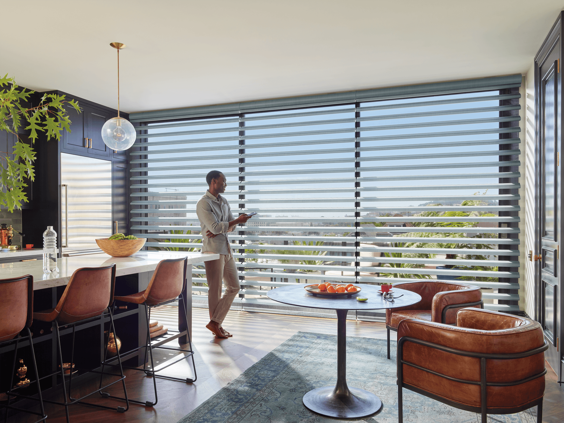 Pirouette® ClearView® Window Shadings