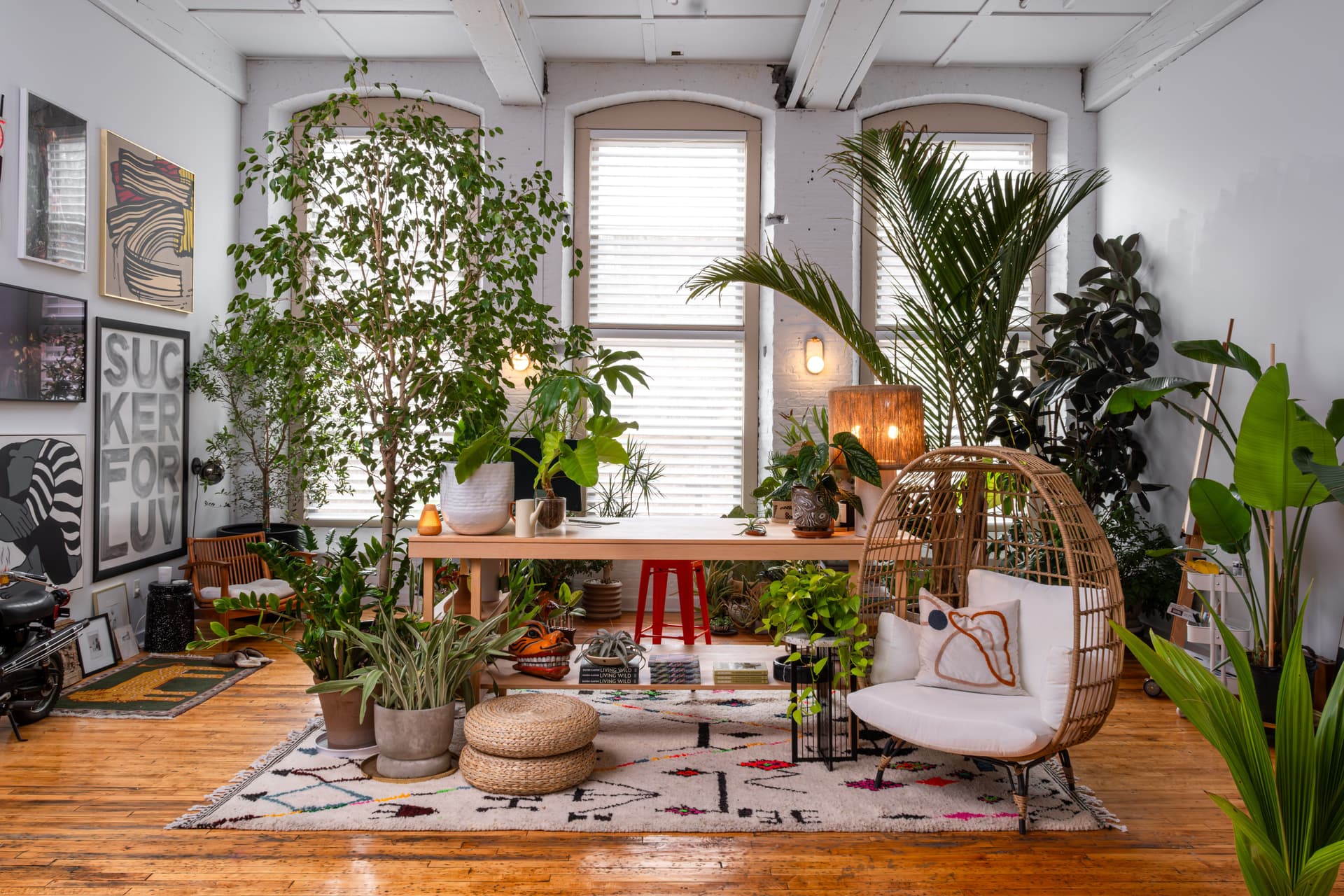 How Stylist Hilton Carter Perfects the Light in His Plant-Filled Office