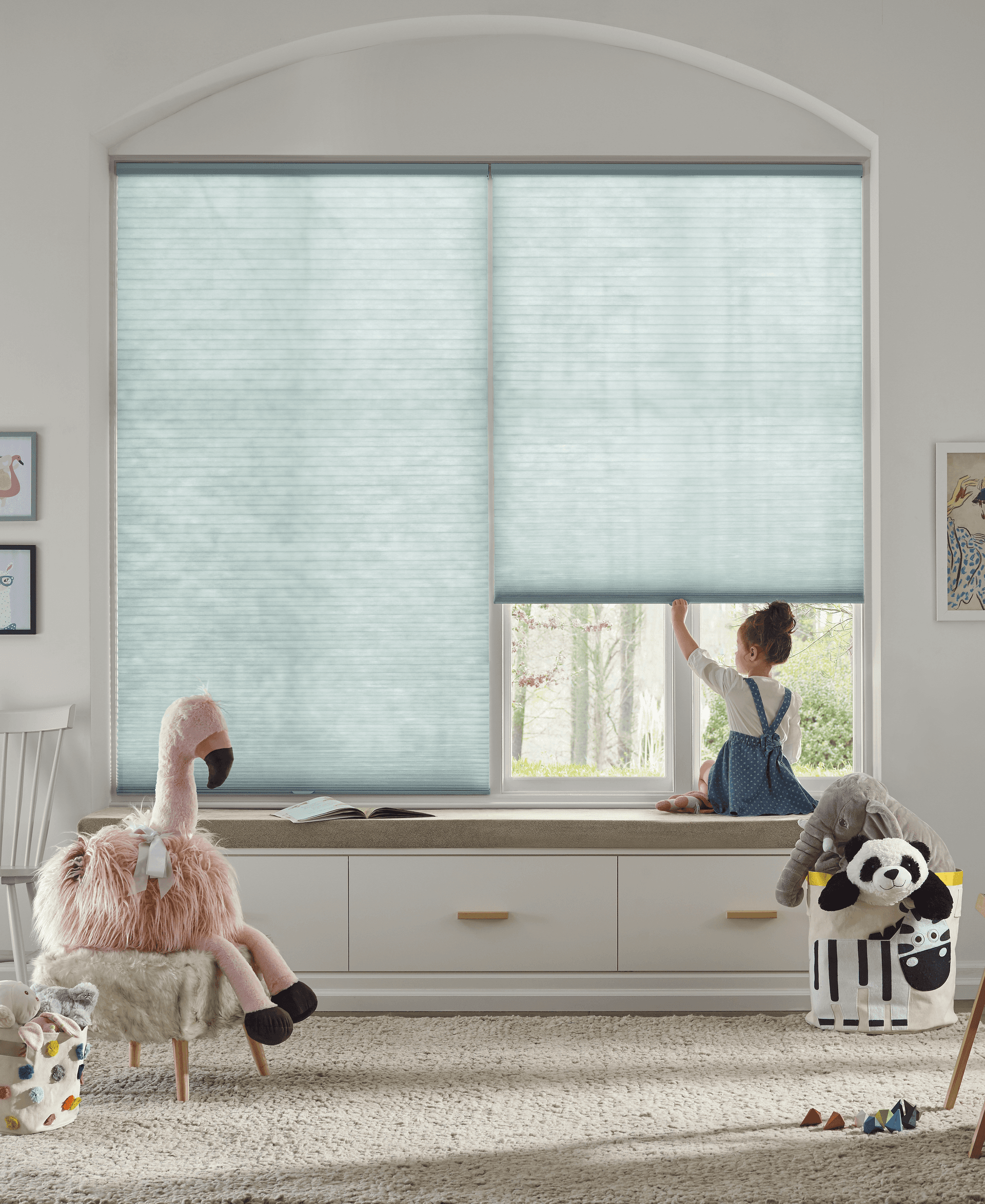 Cordless Window Shades